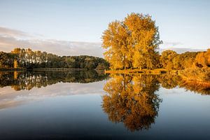 Herfst kleurtjes
