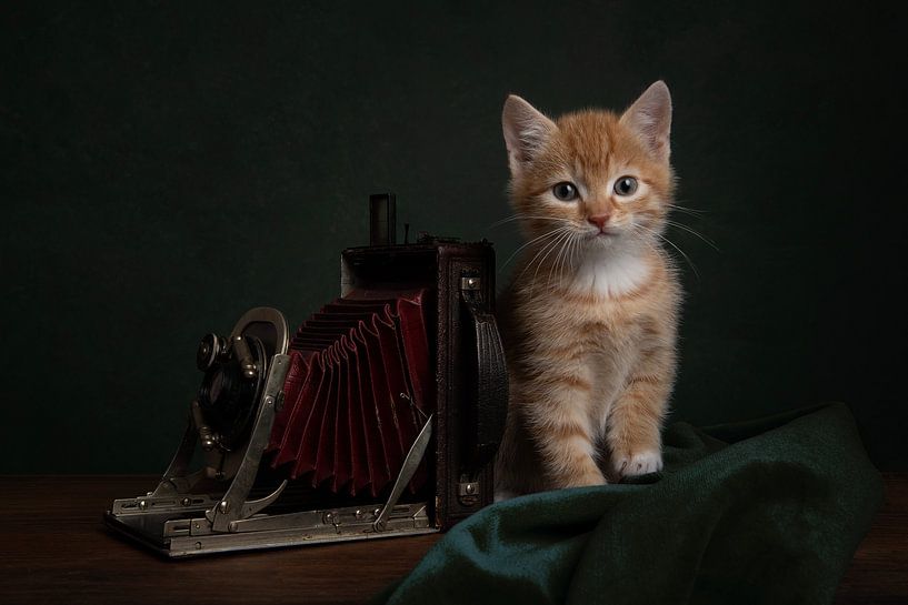 The little photographer by Elles Rijsdijk