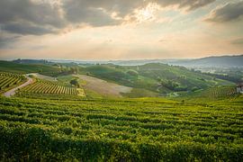 Sunset Over Rolling Vineyards of Langhe near Barbaresco by Stefano Orazzini