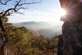 Palatinate Forest by Fabian Bracht