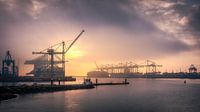 APM II Container Terminal