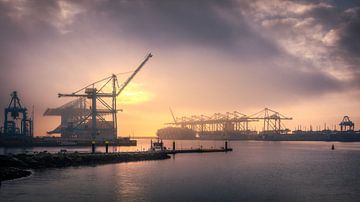 APM II Container Terminal by Nico Dam