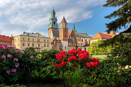 Wawel binnenplaats met rododenronstruiken op de voorgrond in Polen
