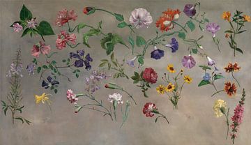 Jacques-Laurent Agasse~Studies van bloemen