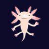 Axolotl van Bianca Wisseloo thumbnail