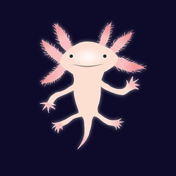 Axolotl
