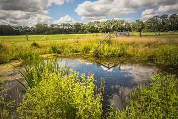 Pool at the Elsgraven 3 by Freddy Hoevers