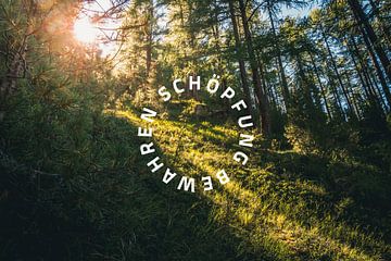 Schöpfung bewahren 02 Motiv Wald von Jonathan Schöps | UNDARSTELLBAR.COM — Visuelle Gedanken zu Gott