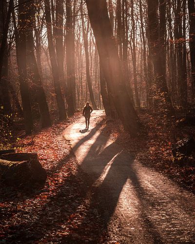 Winterglow Rotterdam 4