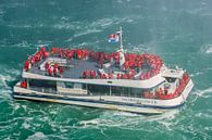 Le souffleur de corne aux chutes du Niagara par Henk Meijer Photography Aperçu