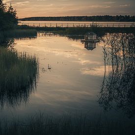 The Duck Pond by Jonas Röjestål