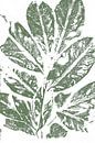 Leaves  in retro style. Modern botanical minimalist art in white and green by Dina Dankers thumbnail