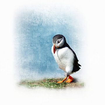 De verlegen Puffin van Babette van den Berg