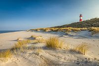 Strand und Leuchtturm List-Ost auf der Ellenbogen-Halbinsel, Sylt