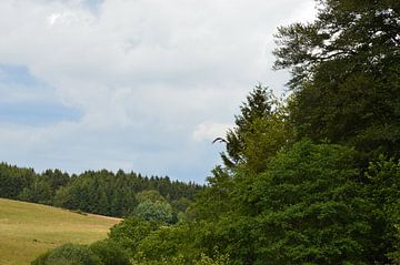 Beautiful Eifel landscape with herons by Susanne Seidel