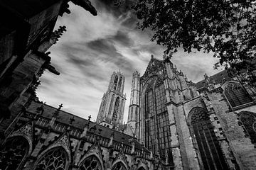 De Dom en Domkerk van Utrecht vanuit de Pandhof.