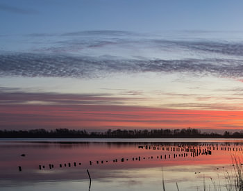 Zonsopkomst Vinkeveen Botshol!