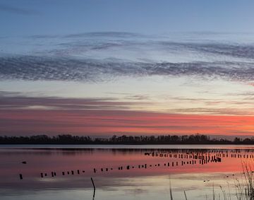 Lever de soleil Vinkeveen Botshol ! sur Peter Haastrecht, van