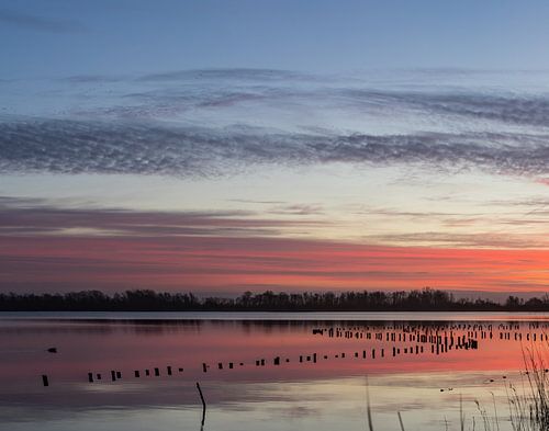 Zonsopkomst Vinkeveen Botshol!