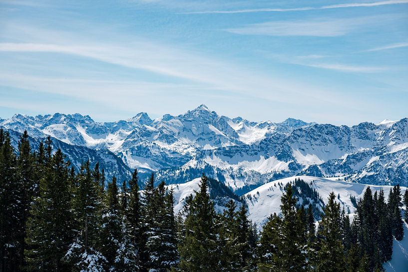 Winteruitzicht op de Hochvogel en de Allgäuer Alpen van Leo Schindzielorz