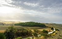 Landstraße durch die toskanische Landschaft im Val d'Orcia
