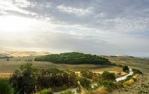 Route de campagne à travers le paysage toscan dans le Val d'Orcia