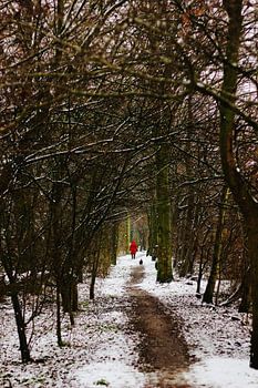 Vrouw in winterlandschap