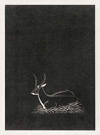 Waterbuck, Samuel Jessurun de Mesquita (1921)