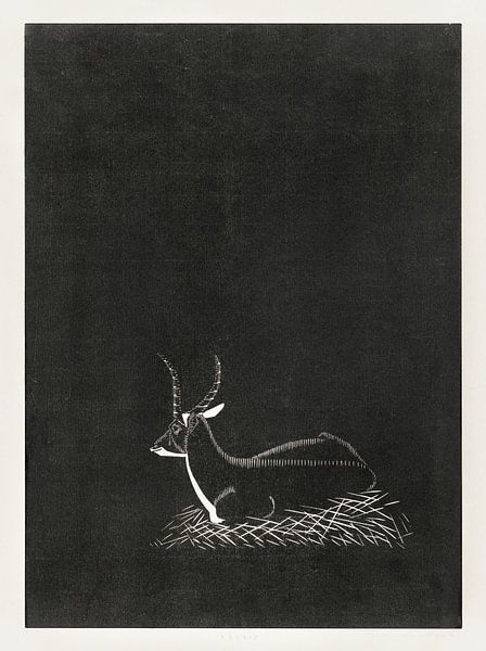 Waterbuck, Samuel Jessurun de Mesquita (1921) by Atelier Liesjes