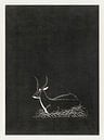 Waterbuck, Samuel Jessurun de Mesquita (1921) by Atelier Liesjes thumbnail