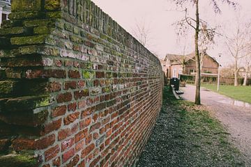 Oude stadsmuur van Wageningen in het Torckpark van MijnStadsPoster