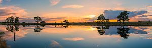Panorama eines Sonnenuntergangs im Nationalpark Dwingelderveld