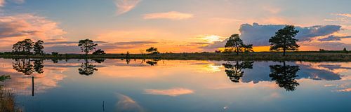 Panorama d'un coucher de soleil dans le parc national du Dwingelderveld