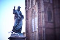 Statue Grote Markt Haarlem by Karel Ham thumbnail