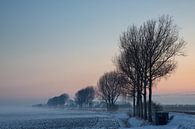 IJs koude winter ochtend von Bram van Broekhoven Miniaturansicht