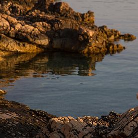 Zonopkomst met meeuw op rots op Hvar, Kroatie van Maike Meuter