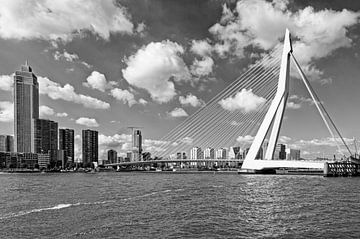 Rotterdam en de Erasmusbrug van Bert Hermans