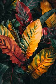 Kleurrijke bladeren in een jungle-look van Poster Art Shop