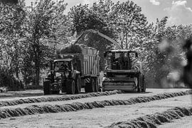 Récolte des foins par une journée caniculaire (noir et blanc)