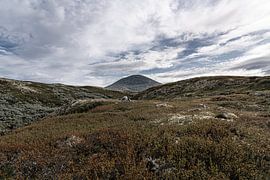 Norvège | Paysages grandioses et le mont Muen dans le massif de Rondane sur Dylan Winter Visuals