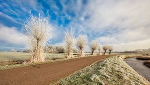 Paysage d'hiver néerlandais II sur eric van der eijk