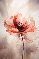 Coquelicot