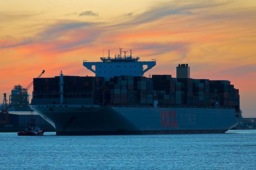 Containerschip te Rotterdam van Anton de Zeeuw