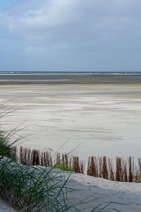 Coastline Ameland.