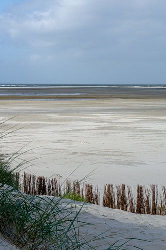 Kustlijn Ameland