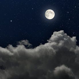 Vollmond am Sternenhimmel von Corinne Welp