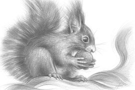 A squirrel holding a nut by Adriana Müller