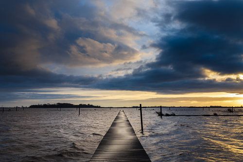 Zicht op het Vogeleiland in het Zwarte Meer