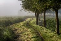 September Morning