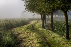 September Morning van Astrid Volten